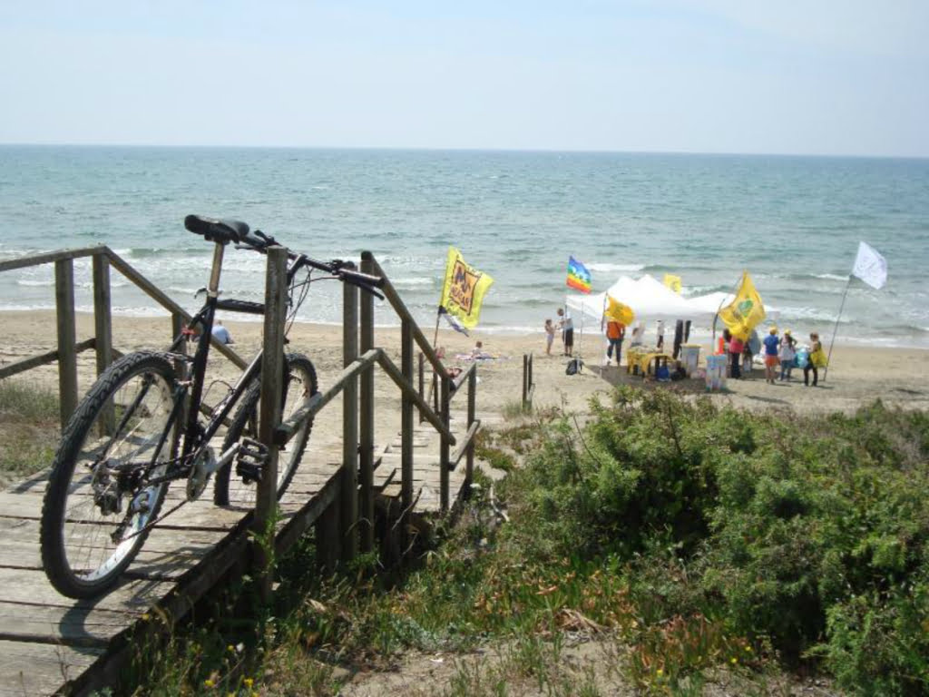 volontariato nella riforma