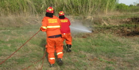 protezione civile roma