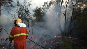 incendi nel Lazio
