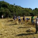Festa del grano Rieti