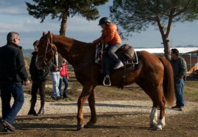 equitazione integrata