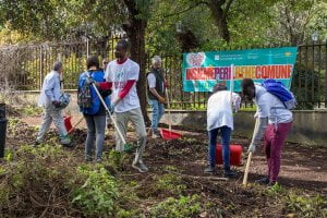 volontariato per l'ambiente