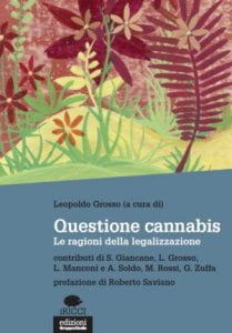 questione cannabis