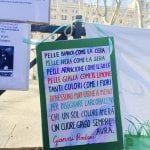Scuola di Donato immigrazione