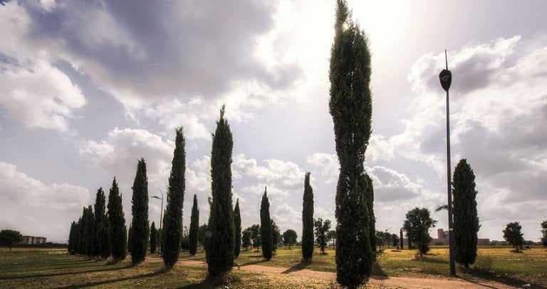 Parco di Centocelle