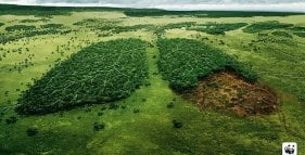 comunicare l'ambiente