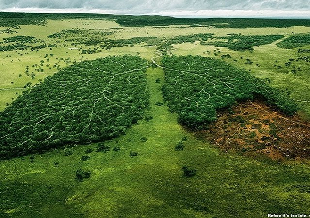 comunicare l'ambiente