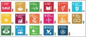 Rapporto sui Territori Asvis