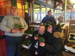 progetto disagricola