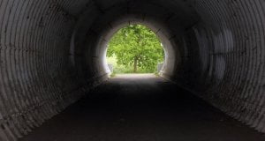 Rapporto Censis 2020