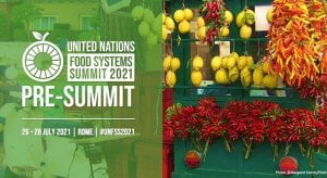 pre-vertice del Food System Summit