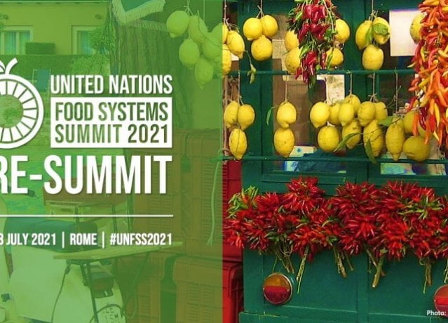 pre-vertice del Food System Summit