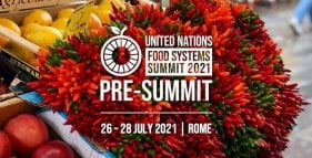 food system summit