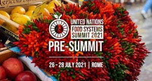 food system summit