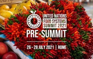 food system summit