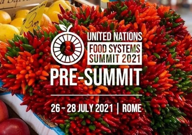 food system summit