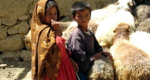 difesa del popolo afghano