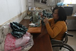 assegno per invalidità civile