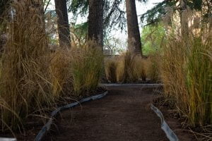 Giardino Invisibile