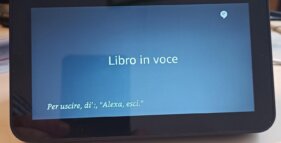 Libro in voce