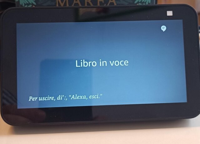 Libro in voce