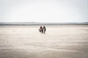 Vangelo secondo Maria