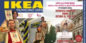 Creare partnership di successo