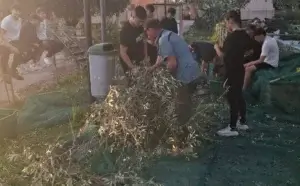 associazione Damiano Casali