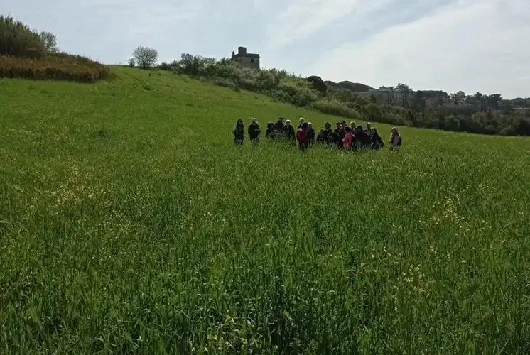 Forumambientalista