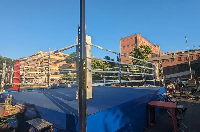 Dal ring al tatami