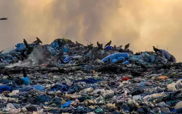 ecomafia 2025