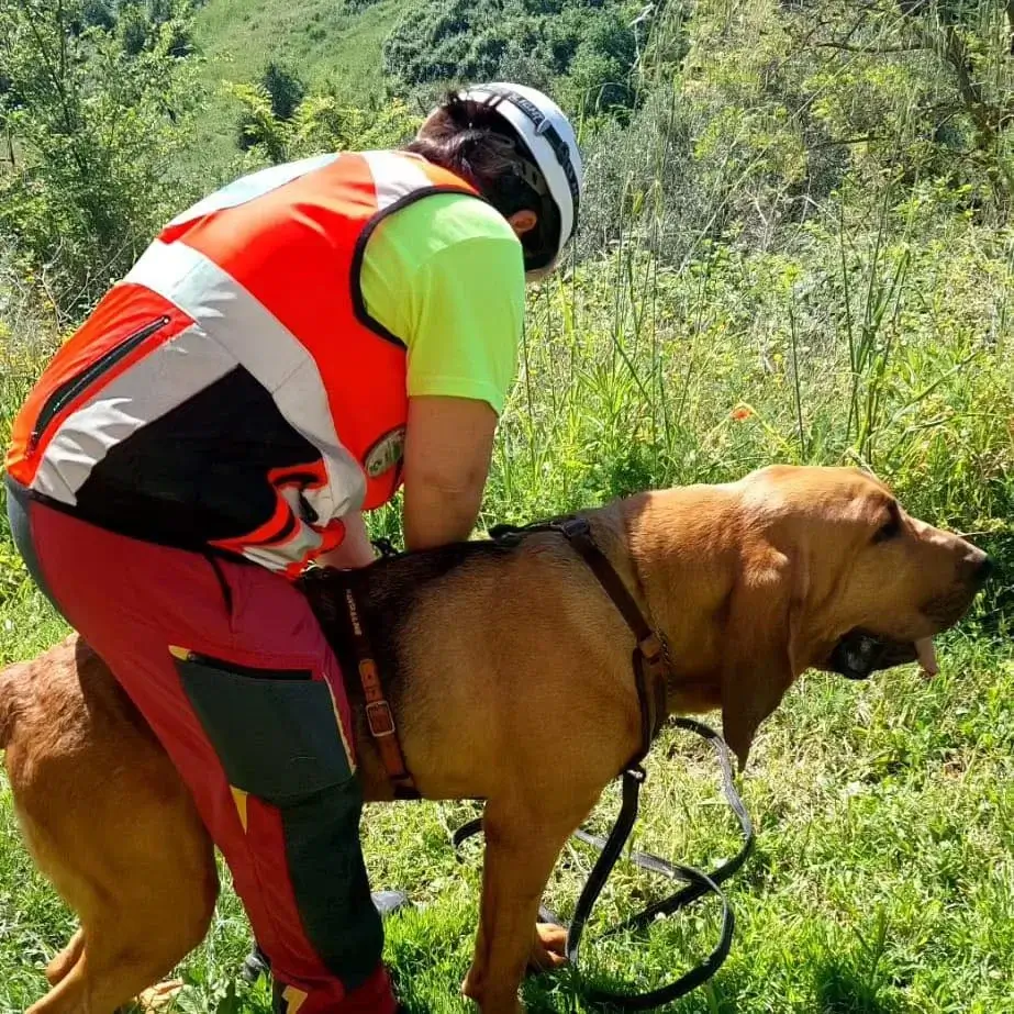 K9 Rescue Italia