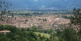 semi di bene