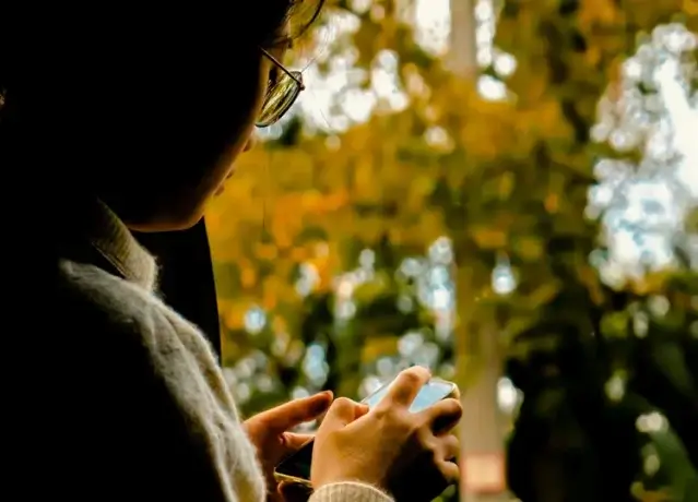 società adolescente