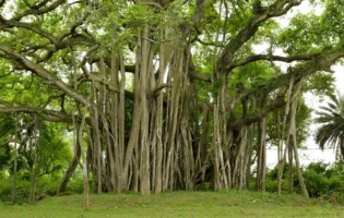 CSV LAZIO: UN NOI CHE DIVENTA PIÙ ARTICOLATO