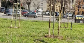 food forest didattica