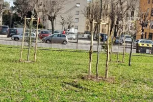 food forest didattica