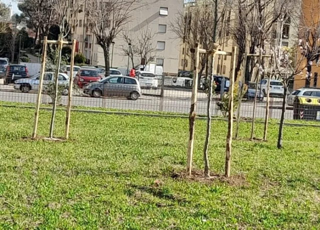 food forest didattica