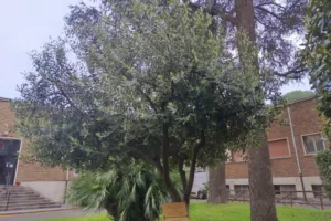 giornata della terra palestinese