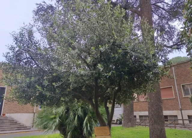 giornata della terra palestinese