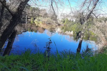 DAL FESTIVAL DELLE TERRE 2026. IL SERVIZIO CIVILE È SCEGLIERE DA CHE PARTE STARE