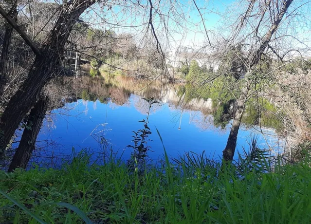 DAL FESTIVAL DELLE TERRE 2026. IL SERVIZIO CIVILE È SCEGLIERE DA CHE PARTE STARE