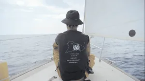 dalla terra al mare