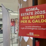 caldo