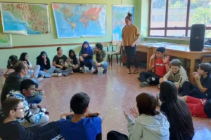 ddl anti maranza