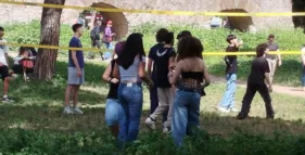 ddl anti maranza