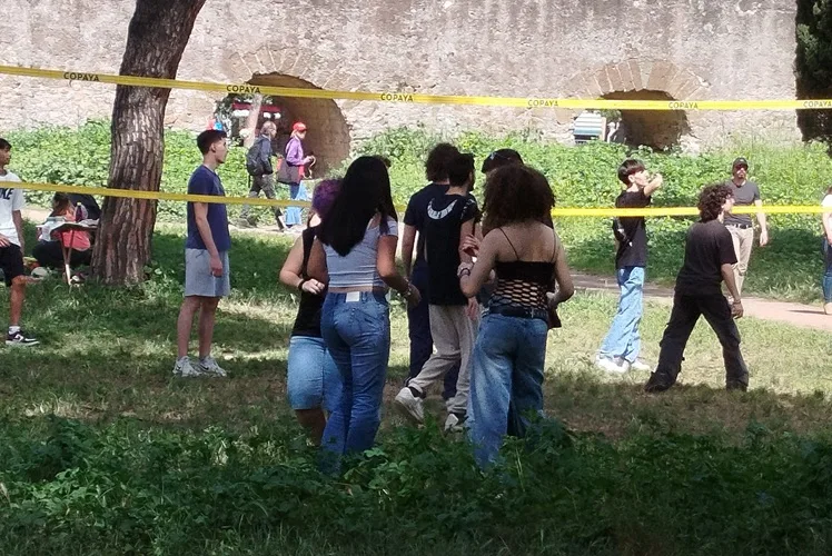 ddl anti maranza