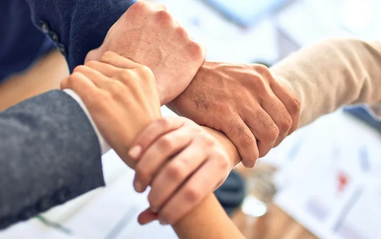 volontariato manageriale